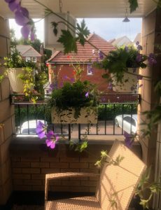 A colourful balcony featuring hanging planters and vibrant blooms